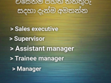 Assistant manager