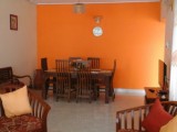 fully furnished house for rent