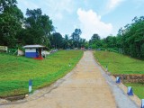 Thalagaha Araliya Land for Sale (LOT-7)