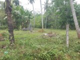 Land For Sale In Horana - Gurugoda