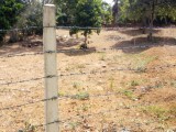 Land for sale in Devinuwara