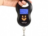 Hanging scale 50kg