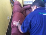 sofa / tile / carpet / chair shampoo cleaning