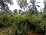 Land for Sale in Balangoda