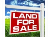 Land For Sale With House