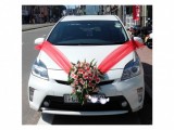 Rent A Car Matara - Toyota Prius Hybrid