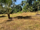 Land For Sale in Nittabuwa