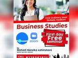 Online business studies