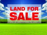 land for sale nuwaraeliya