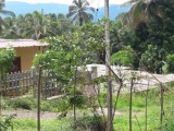 Digana Land For Sale