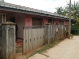 House for Urgent Sale Near Raddolugama