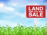 Land for Sale in Narammala
