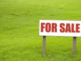 Land For Sale In Horana