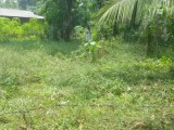 land  for   sale