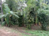 Land with House for Sale (Mawanella)