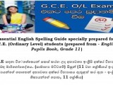 GCE O/LEVEL ENGLISH - ESSENTIAL SPELLINGS GUIDE (DICTATION)