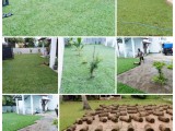 original malaysian grass carpets