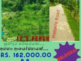 Nature Friendly Land for Sale...