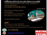 Online Maths Classes (theory and paper) - Grade 5 - 11