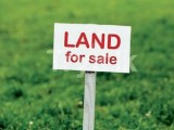 Land for sale in ganemulla town
