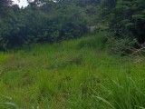 Valuable land for sale in Balangoda.