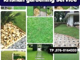 malaysian mini grass garden service