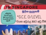 Study & work visa to Singapore