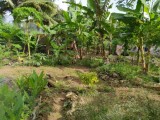 Land for sale in Horana