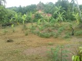 land for sale near hingurakgoda