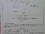 ඉක්මනින් විකිනීමට