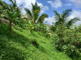 Land for sale in Horana (80 Perches)