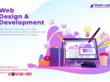 Interactive Web Design & Development