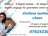 Online teaching for International and Government school students