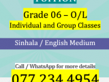 Mathematics Tuition Classes - Grade 06 - O/L
