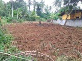 Residential / Agricultural land to sale in Kiriwaththuduwa , Kahathuduwa