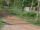A Land for sale in Kurunegala , Piduruwella (මහාමාර්ගයට 50 m ආසන්නයේ )