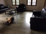 Gorgeous house for rent in kandy, aniwatta road
