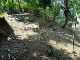 Land for sale in Richmond Hill- Galle