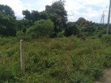 Land for sale in Pallekele