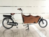electric tricycle cargo bike for adult trike