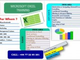 Microsoft Excel Training for Data Analysis