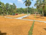 Land plots for sale in Meewanapalana;