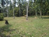 Land for Sale Negombo