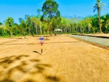 Residential Land plots for sale Near to Horana ;