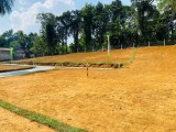 Land for sale in Meewanapalana