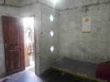 Shearing room for rent