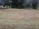 Land For Sale In Horana -Kumbuka