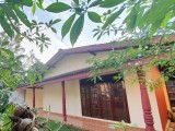 3 Bedroom, Single Story Fully Tiled Separate House for rent