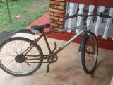 Lumala Bicycle For Sale