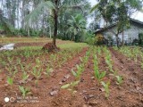 Land for Sale at Kalutara